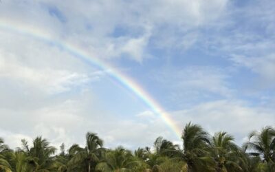 Reset, Reframe, Restart!